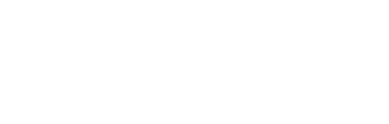 Blue IT's logo Blue IT's Company logo
